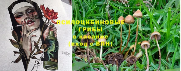 mdpv Костерёво