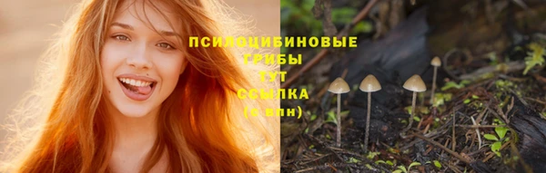 ПСИЛОЦИБИНОВЫЕ ГРИБЫ Коряжма