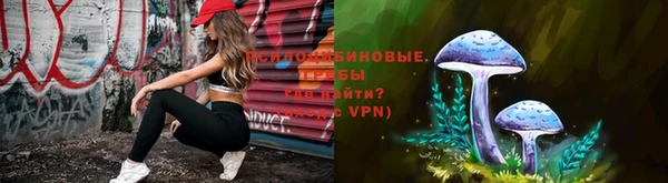 ПСИЛОЦИБИНОВЫЕ ГРИБЫ Коряжма