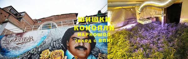 mdpv Костерёво