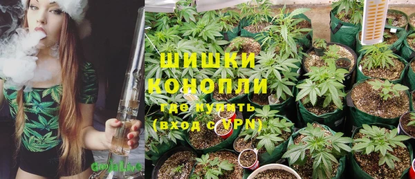 ПСИЛОЦИБИНОВЫЕ ГРИБЫ Коряжма