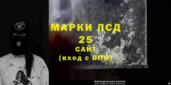 ПСИЛОЦИБИНОВЫЕ ГРИБЫ Коряжма