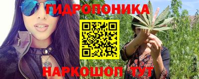 альфа пвп Аргун