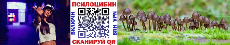 Псилоцибиновые грибы MAGIC MUSHROOMS  Ачинск 