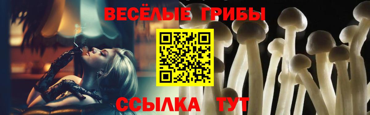 Ачинск  Галлюциногенные грибы ЛСД  как найти   Вход с VPN  Псилоцибиновые грибы Psilocybe 