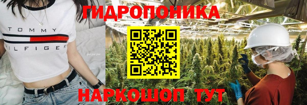 Канабис планчик Ачинск